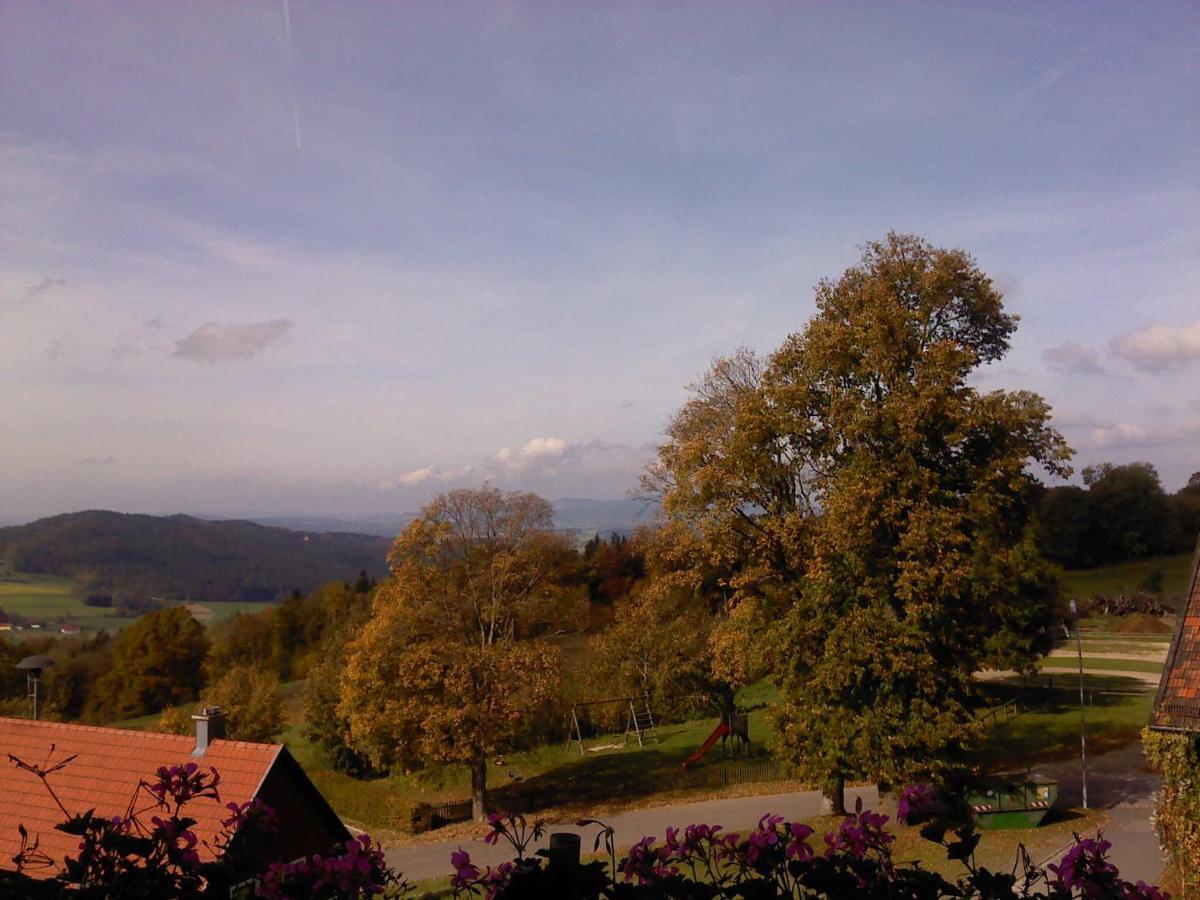 Apartment Schoenblick *
