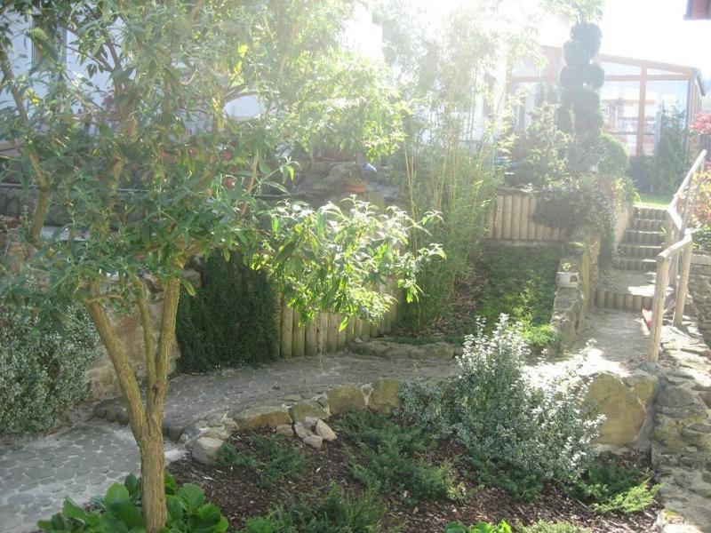 Schoenblick Apartment